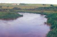 /album/galeria-de-fotos%3a-rio-jacare-gua%c3%a7u/jacare-gua%c3%a7u1-jpg1/